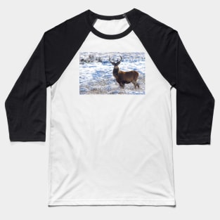 Wild Stag in the snow on a derbyshire moor Baseball T-Shirt